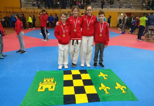 Campeonato galego cadete taekwondo 2017